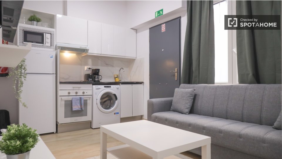 Apartment Madrid, 1 bed — photo 10