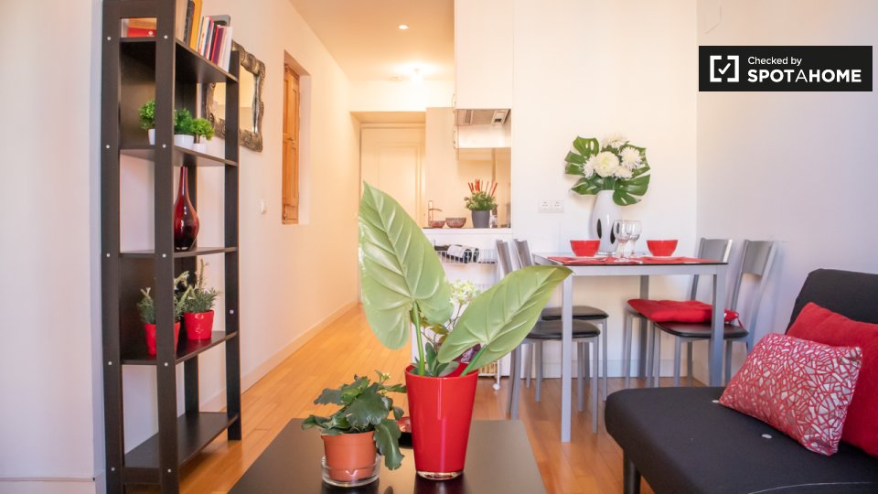 Apartment Madrid, 1 bed — photo 10