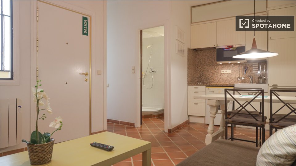 Apartment mono Madrid, 34m² — photo 8