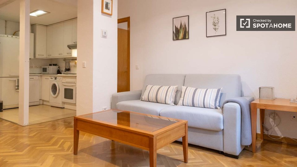 Apartment Madrid, 1 bed — photo 3