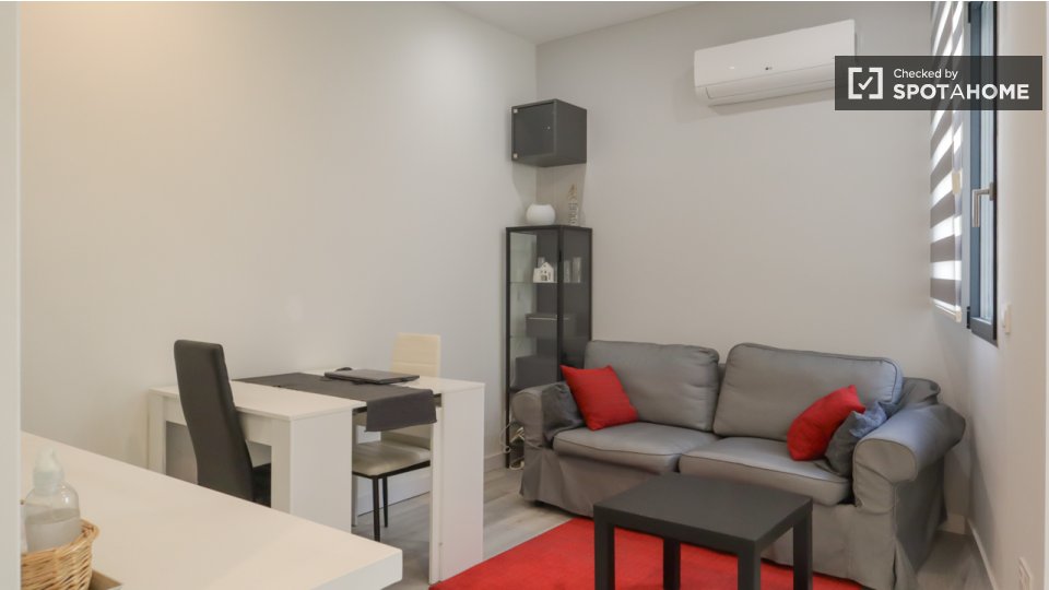 Apartment Madrid, 1 bed — photo 18