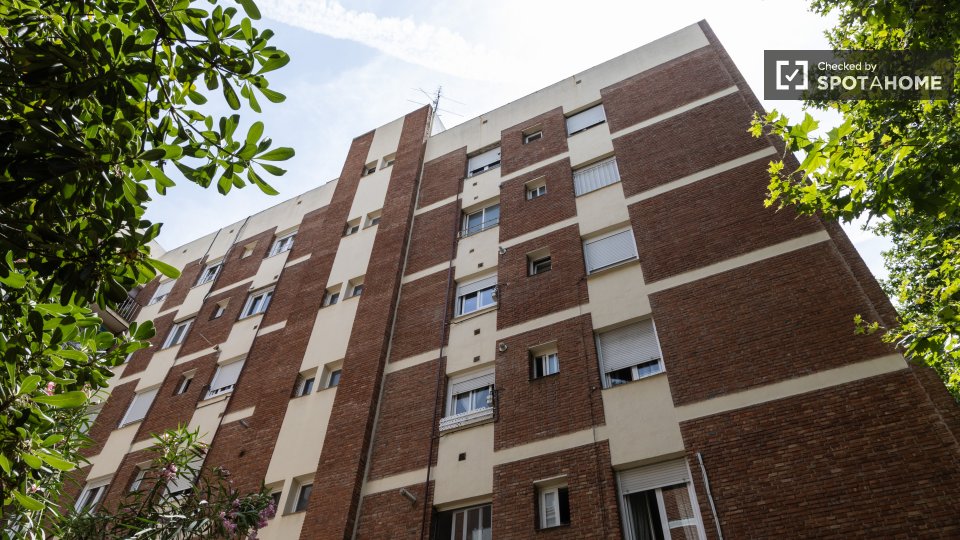 Double room Madrid, 5 beds — photo 13