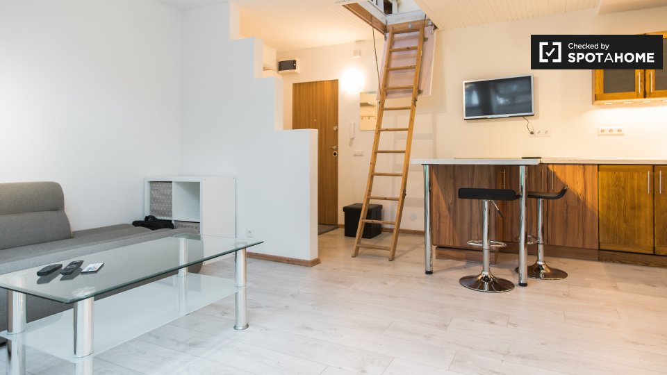 Apartment Vilnius, 1 bed, 40m² — photo 6