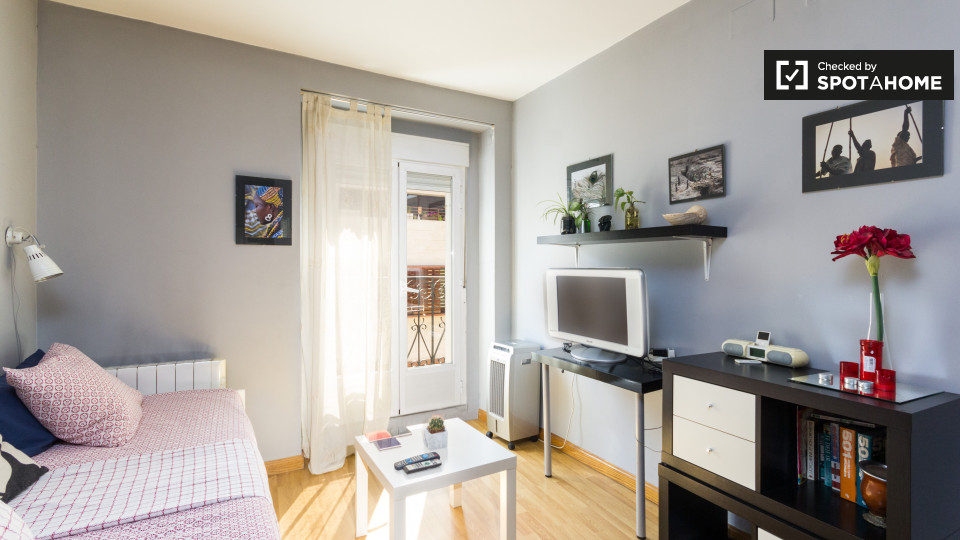Apartment mono Madrid, 25m² — photo 2