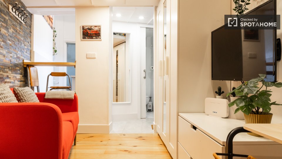 Apartment Madrid, 1 bed — photo 3