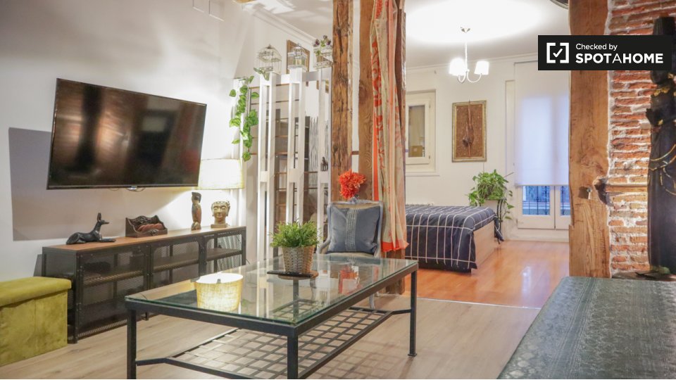 Apartment mono Madrid — photo 12