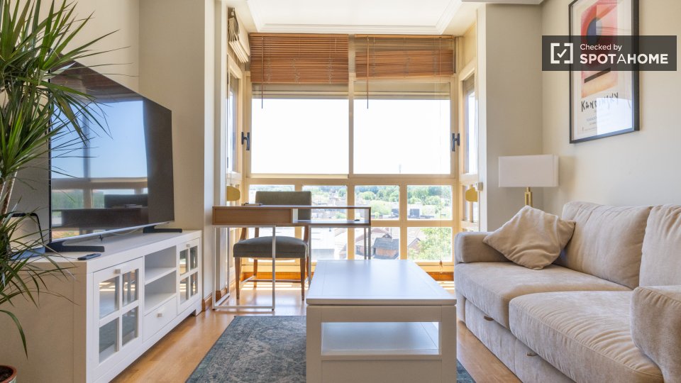 Apartment Madrid, 1 bed — photo 15