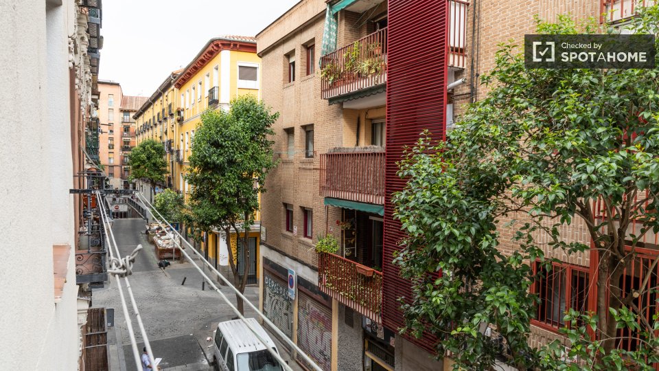 Apartment Madrid, 1 bed — photo 5