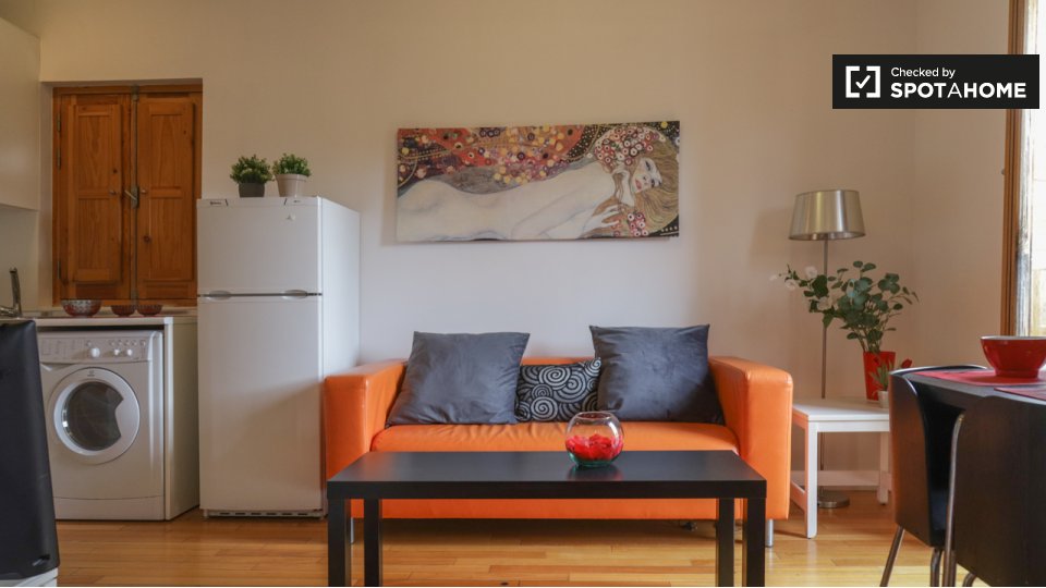 Apartment mono Madrid — photo 5