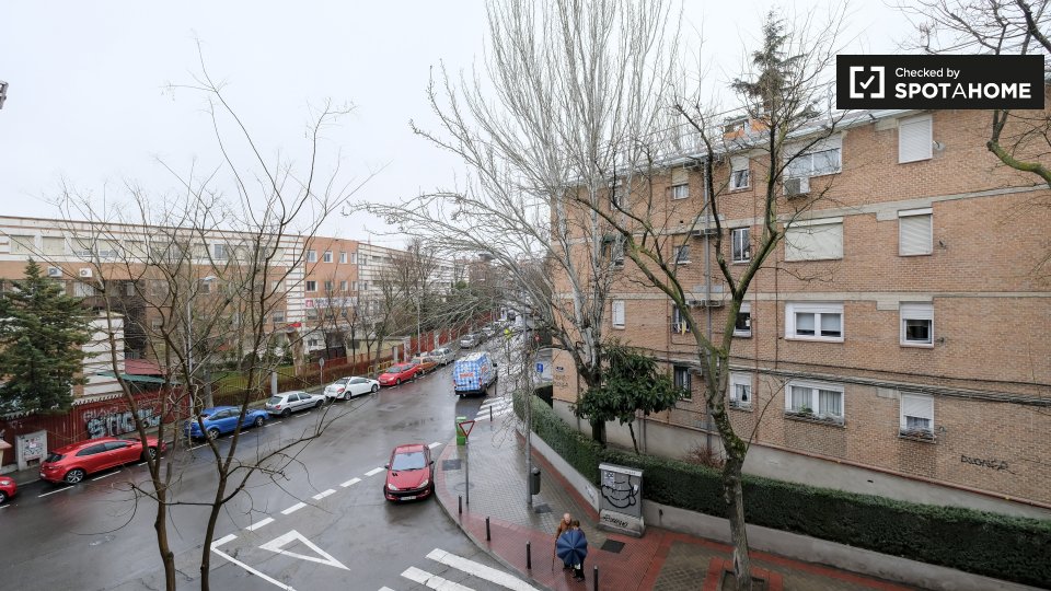 Double room Madrid, 6 beds, 160m² — photo 6