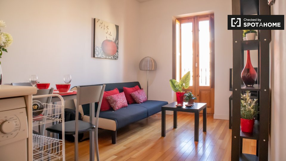 Apartment Madrid, 1 bed — photo 11