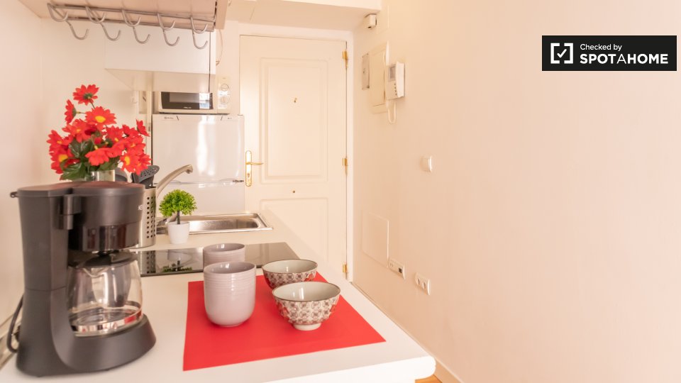 Apartment mono Madrid, 1m² — photo 7