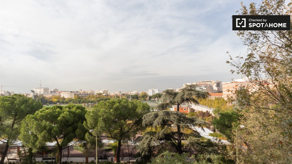 Double room Madrid, 5 beds, 200m² — photo 6