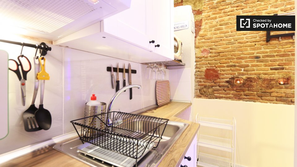Apartment mono Madrid, 22m² — photo 13