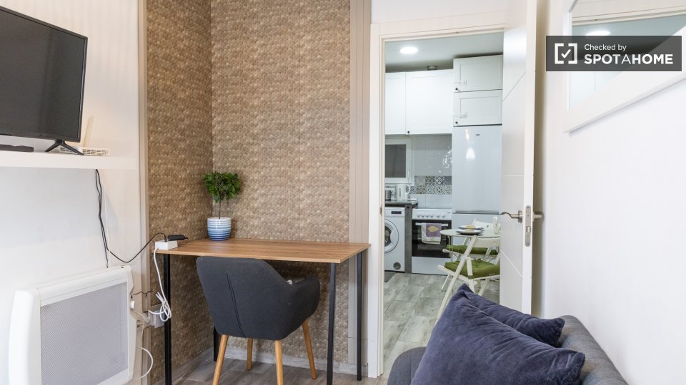 Apartment Madrid, 1 bed — photo 11