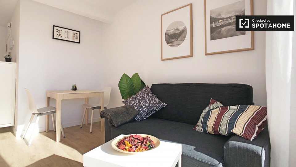 Double room Madrid, 2 beds, 60m² — photo 3