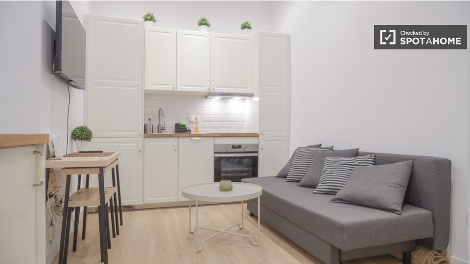 Apartment Madrid, 1 bed — photo 8