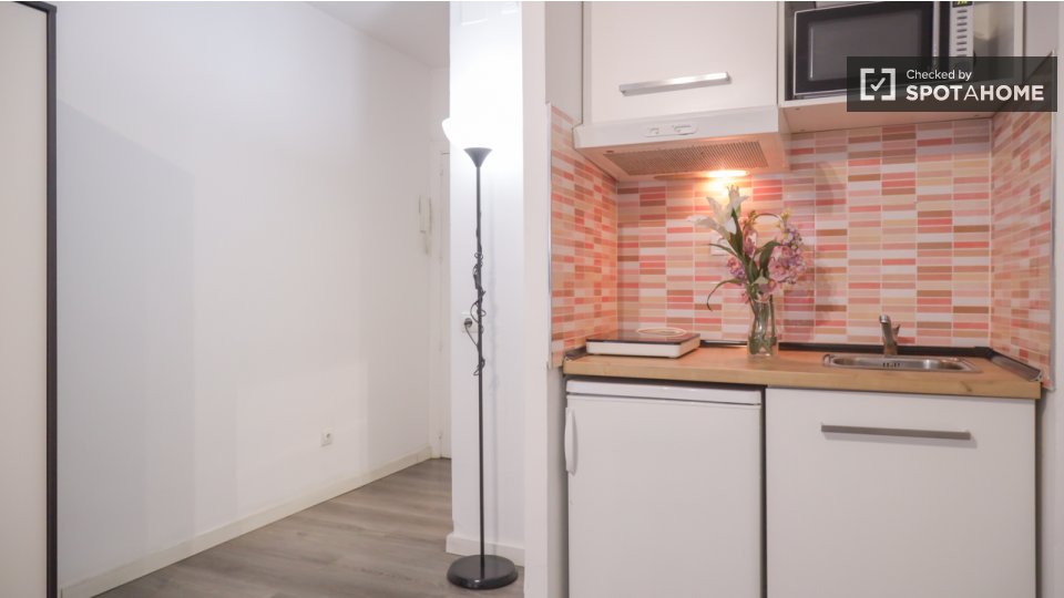 Apartment mono Madrid, 25m² — photo 4