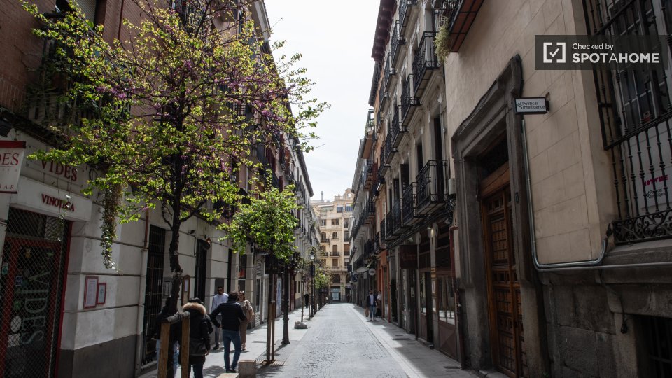 Double room Madrid, 3 beds, 125m² — photo 14