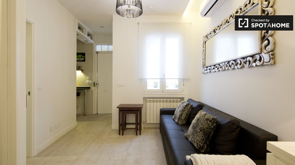 Apartment mono Madrid, 35m² — photo 6
