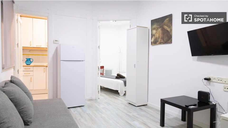 Apartment mono Madrid — photo 15