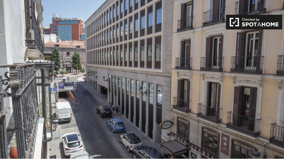 Double room Madrid, 12 beds, 280m² — photo 7