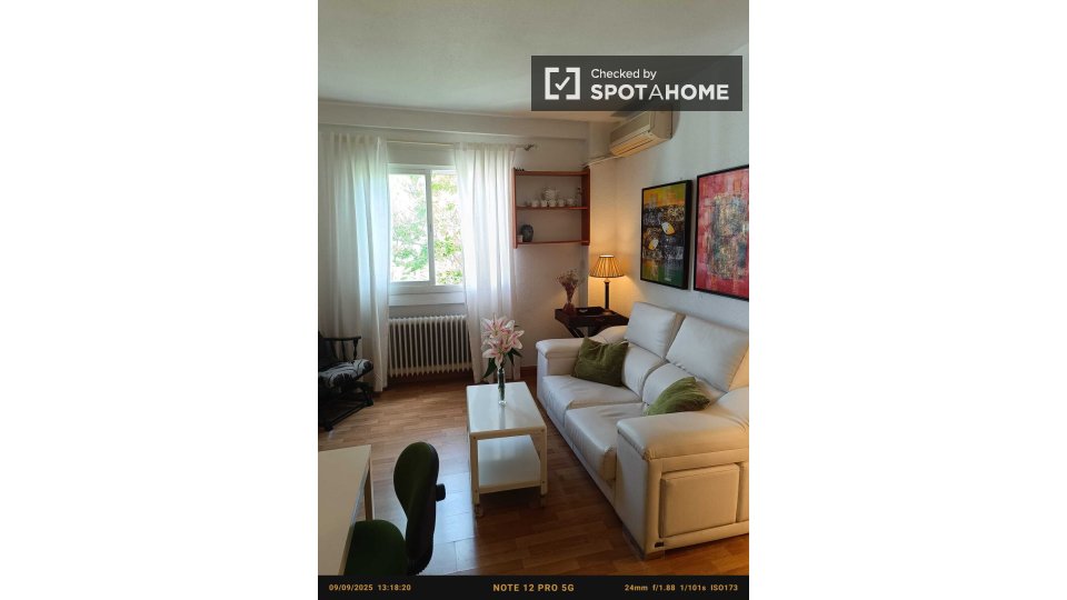 Apartment Madrid, 1 bed — photo 3