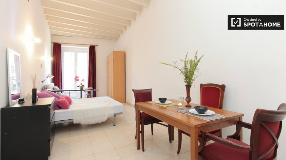 Spacious studio apartment with big terrace for rent - in Barcelona