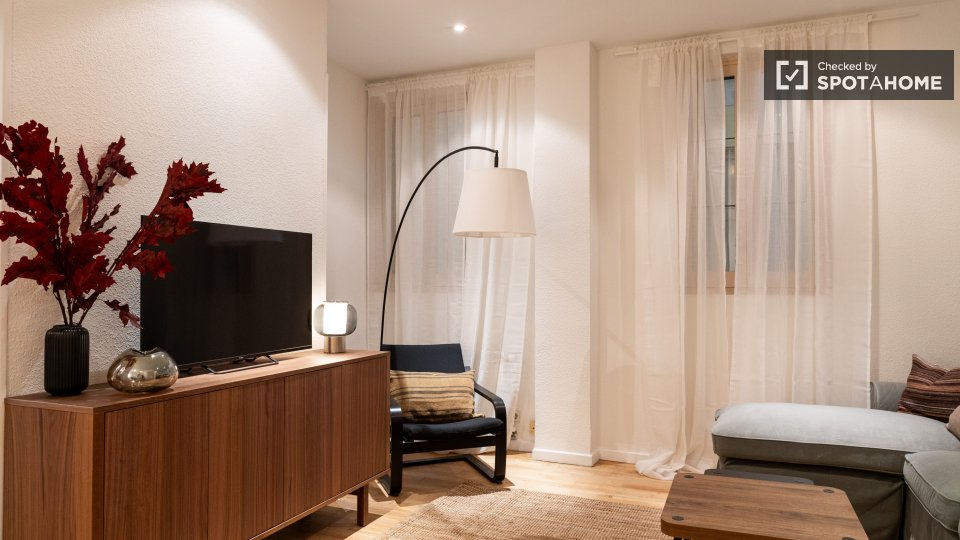 Apartment Madrid, 1 bed — photo 3
