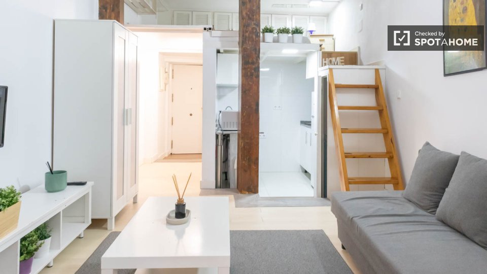 Apartment mono Madrid, 27m² — photo 10