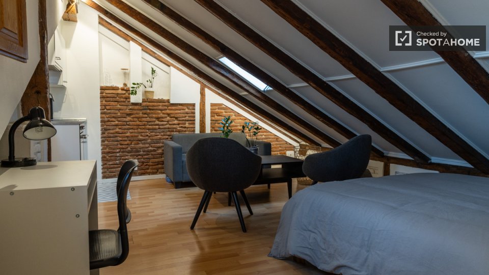 Apartment mono Madrid — photo 10