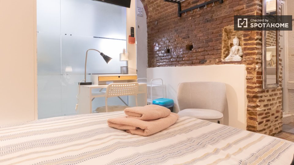 Apartment mono Madrid, 22m² — photo 35