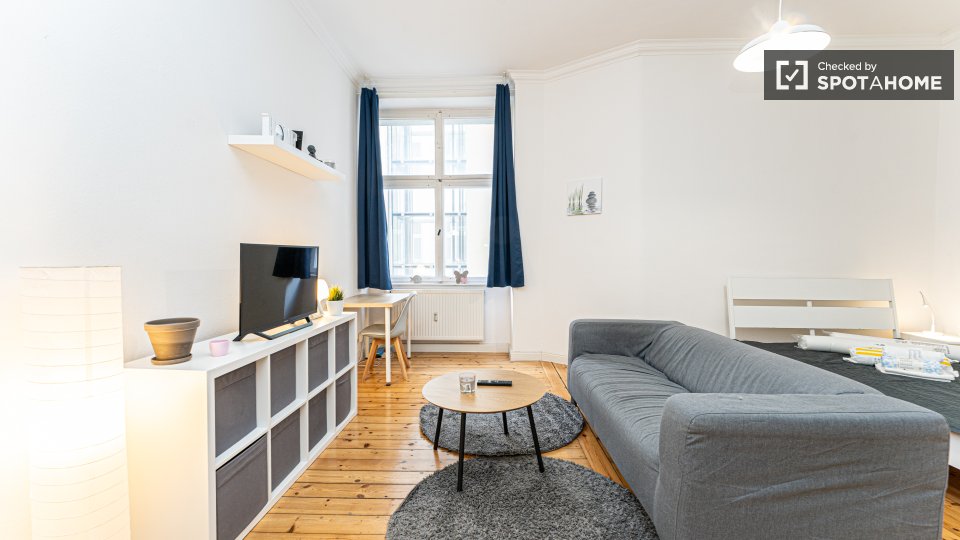 Apartment mono Berlin, 45m² — photo 18