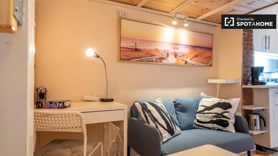 Apartment mono Madrid, 18m² — photo 4