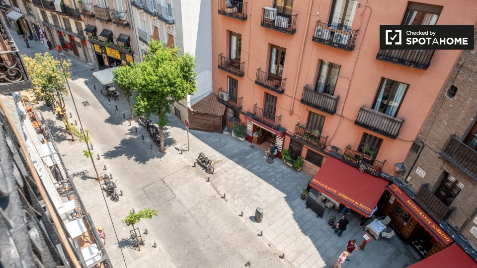Apartment Madrid, 1 bed — photo 19