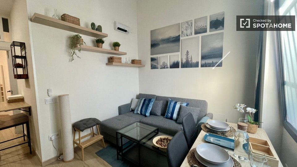 Apartment Madrid, 1 bed — photo 6