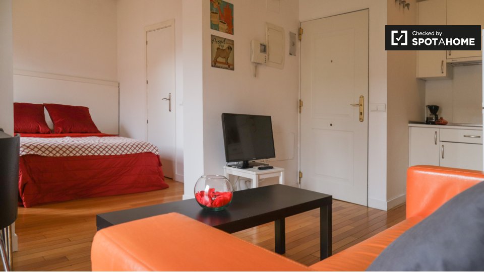Apartment mono Madrid — photo 4