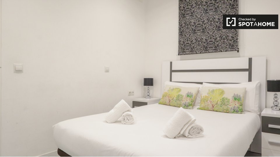 Apartment Madrid, 1 bed — photo 11