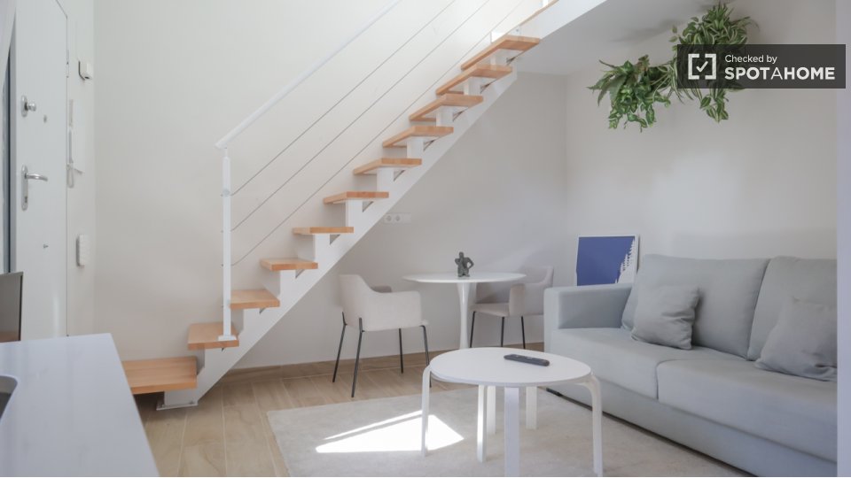 Apartment Madrid, 1 bed — photo 4