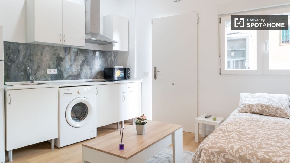 Apartment mono Madrid — photo 4
