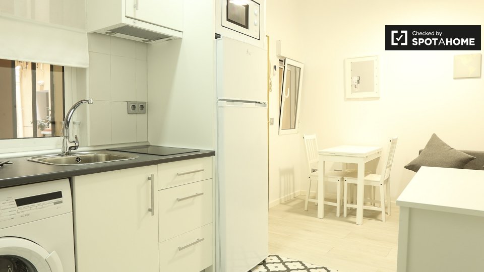 1 bedroom apartment for rent in Lavapiés, Madrid (ref 146385) Spotahome