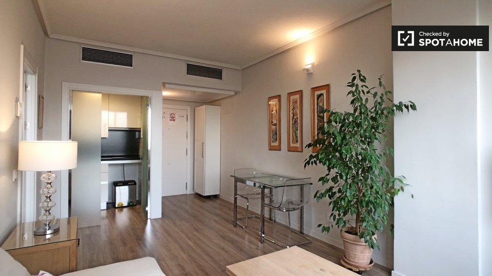 Apartment Madrid, 1 bed, 40m² — photo 8