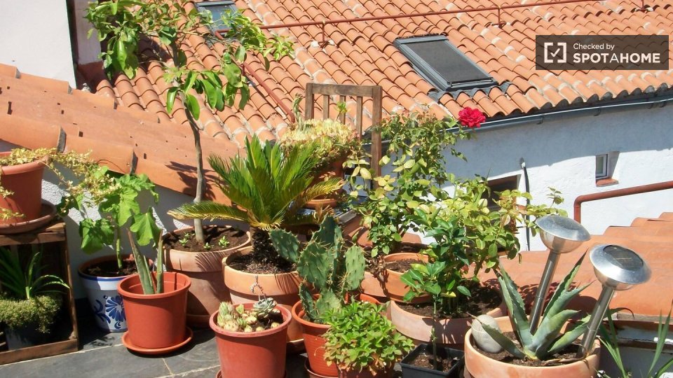 Apartment Madrid, 2 beds, 75m² — photo 22