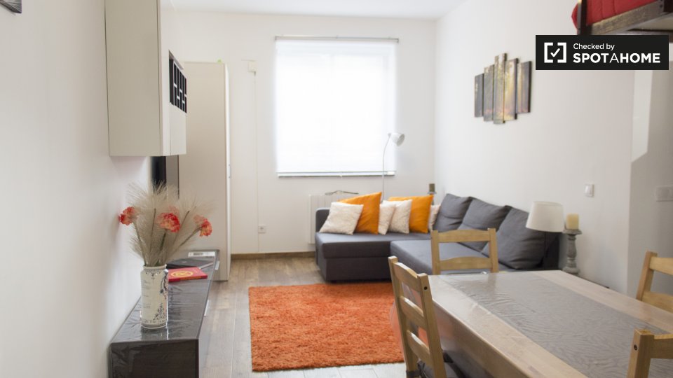 Apartment mono Madrid, 35m² — photo 4