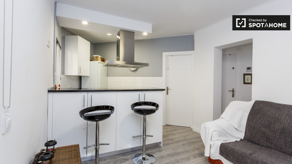 Double room Madrid, 3 beds, 52m² — photo 10
