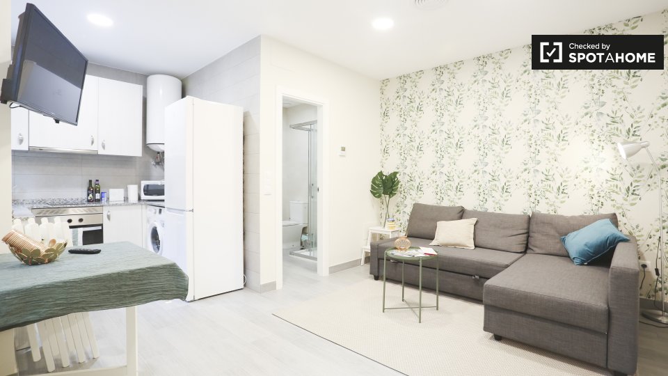 Apartment mono Madrid, 42m² — photo 1
