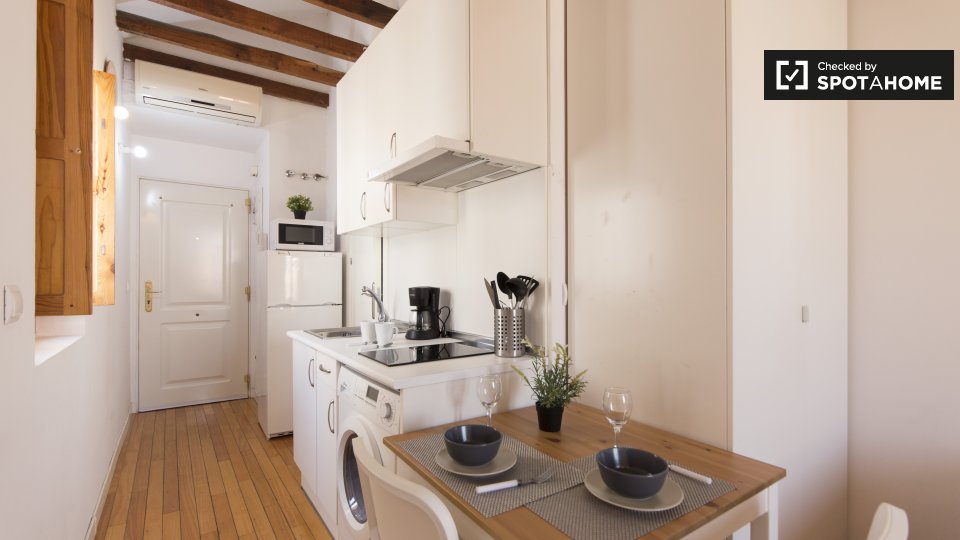 Apartment mono Madrid — photo 13