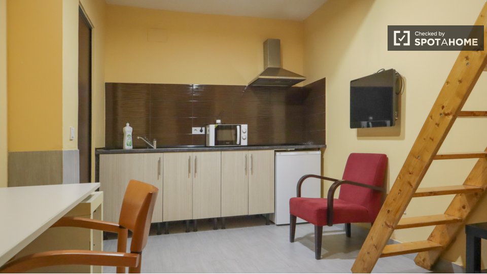 Apartment mono Madrid, 25m² — photo 19