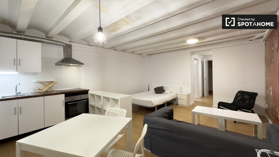 Apartment mono Barcelona, 41m² — photo 10