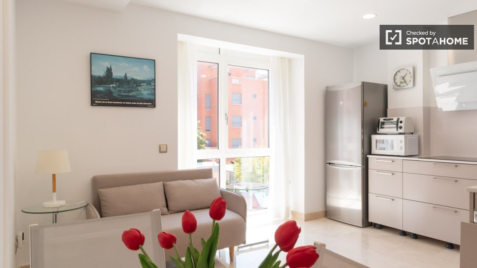 Apartment Madrid, 2 beds — photo 7